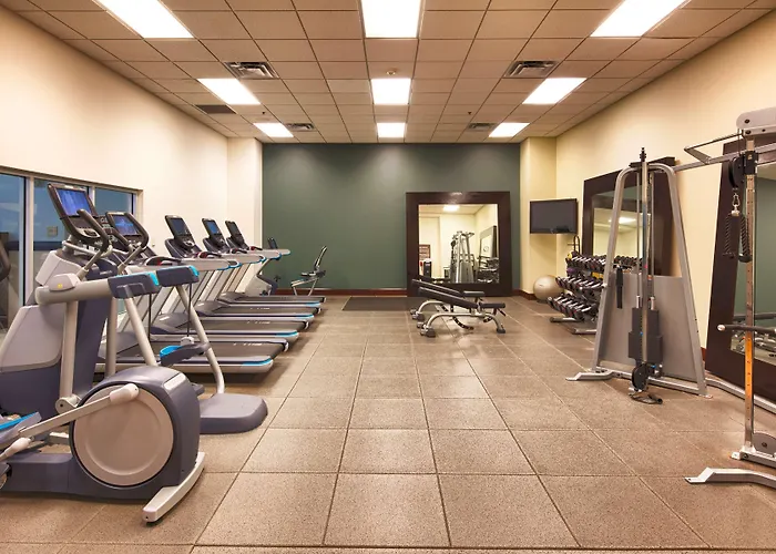 Hotel Hilton Minneapolis 4*