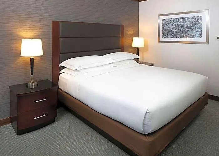 Hilton Minneapolis